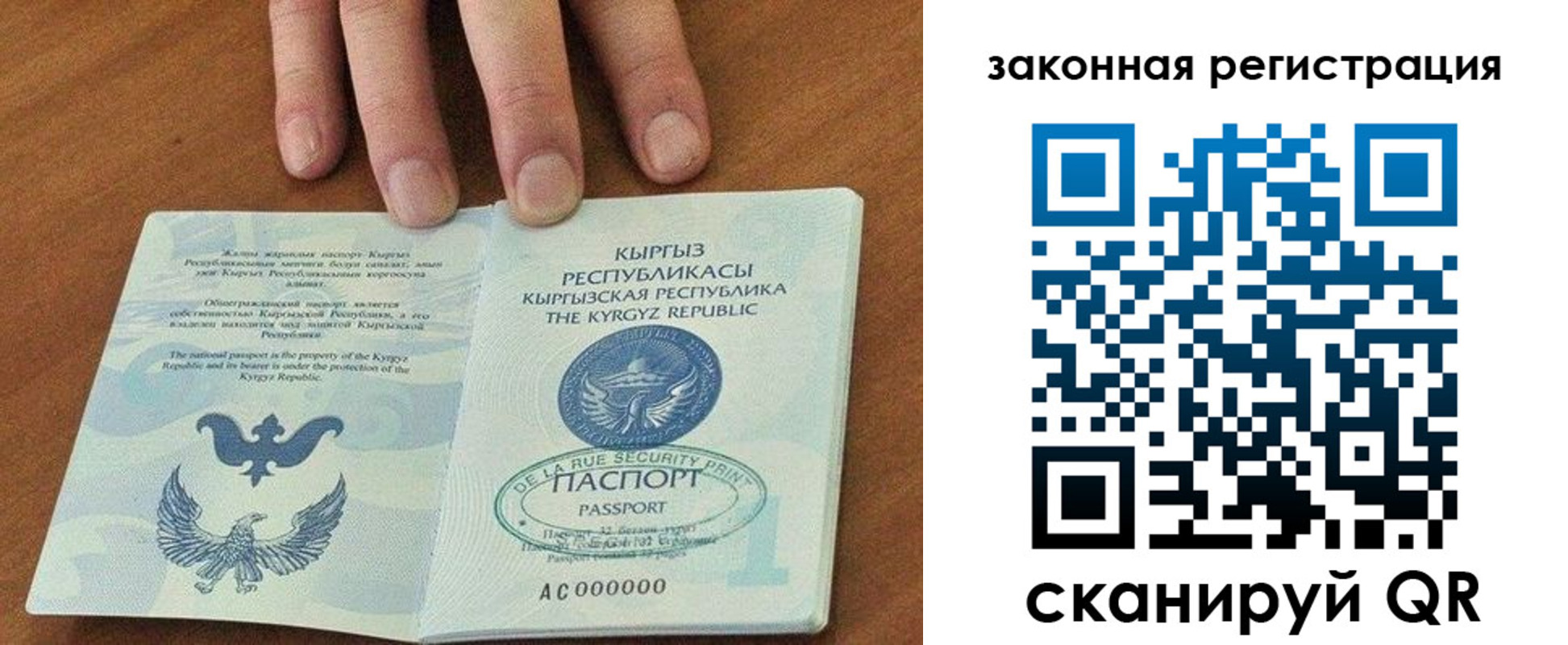 прописка гарантия в Тимашёвске